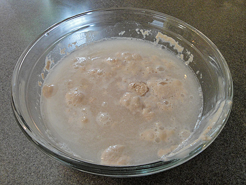 Proofing yeast for pizza dough