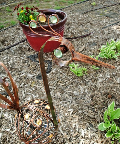 garden peacock