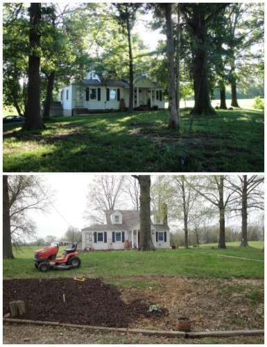 yard before after
