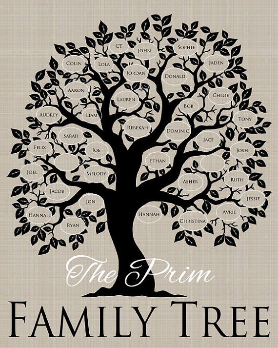 Family Tree | The Hyper House